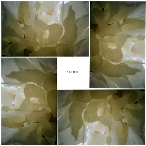 "I stille tanker" 4 stk.